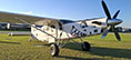 S/N 1004 for sale