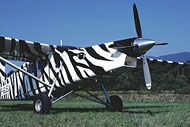 F-GLEU - photo by Markus Herzig